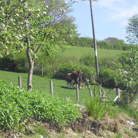 Staylittle Farm Dolgellau Dış mekan fotoğraf